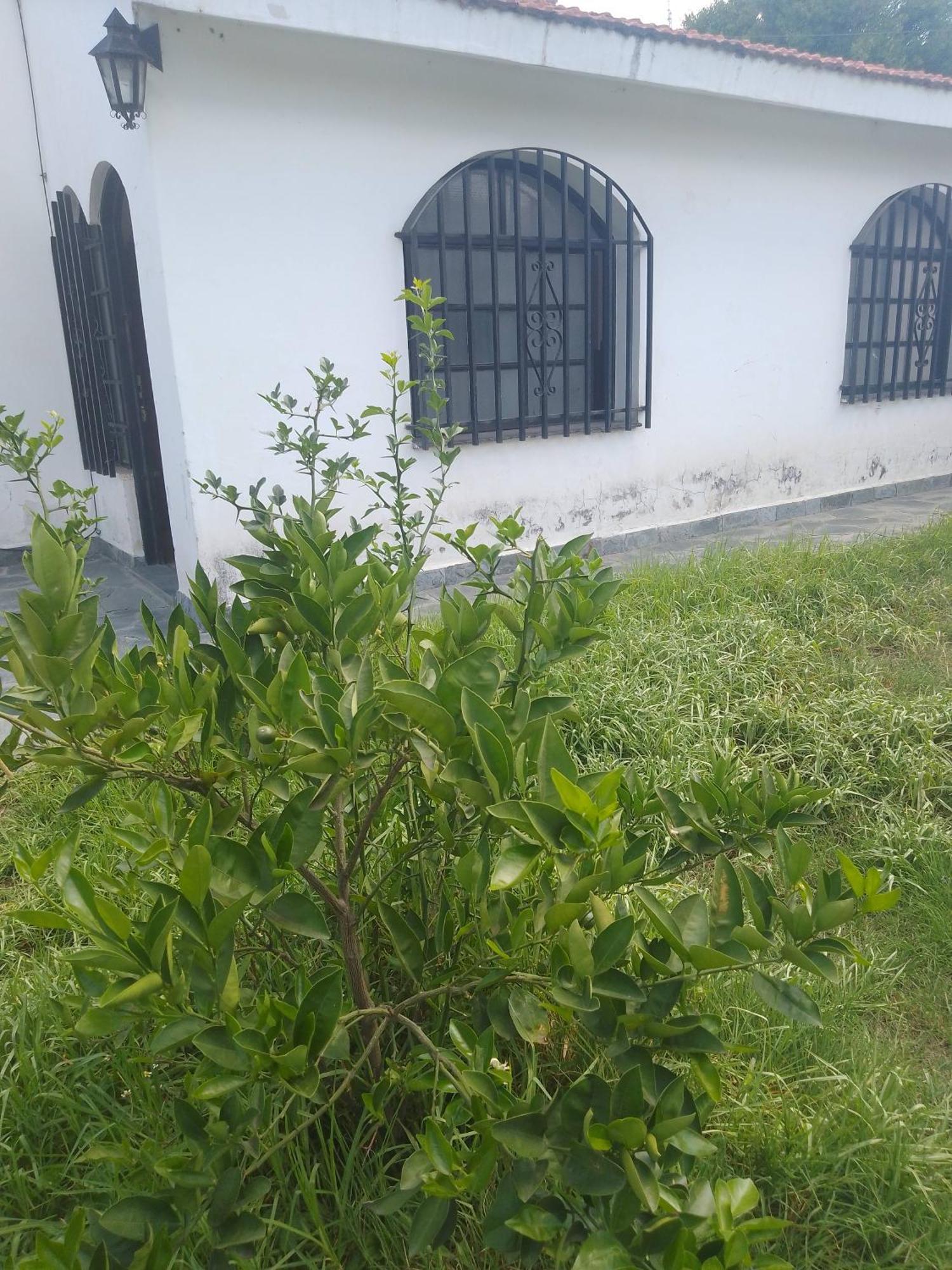 Hostel Alto Alberdi Córdoba Zewnętrze zdjęcie