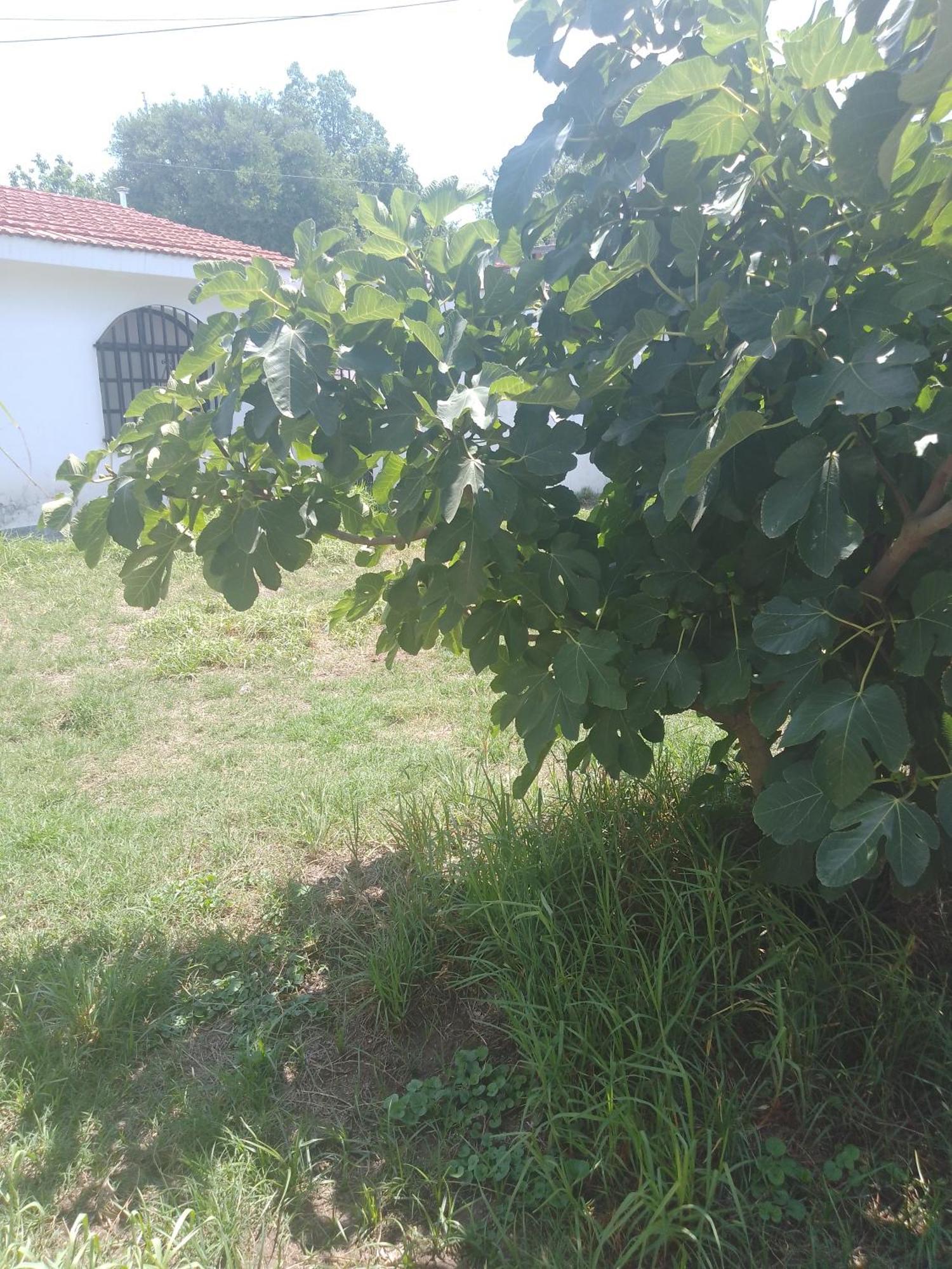 Hostel Alto Alberdi Córdoba Zewnętrze zdjęcie